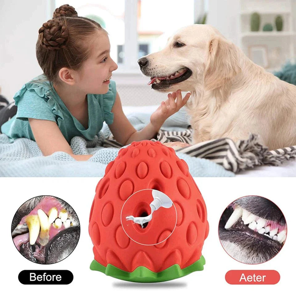 Dailypets Strawberry Treat Dispensing Dog Toy for Chewing & Slow Feeding