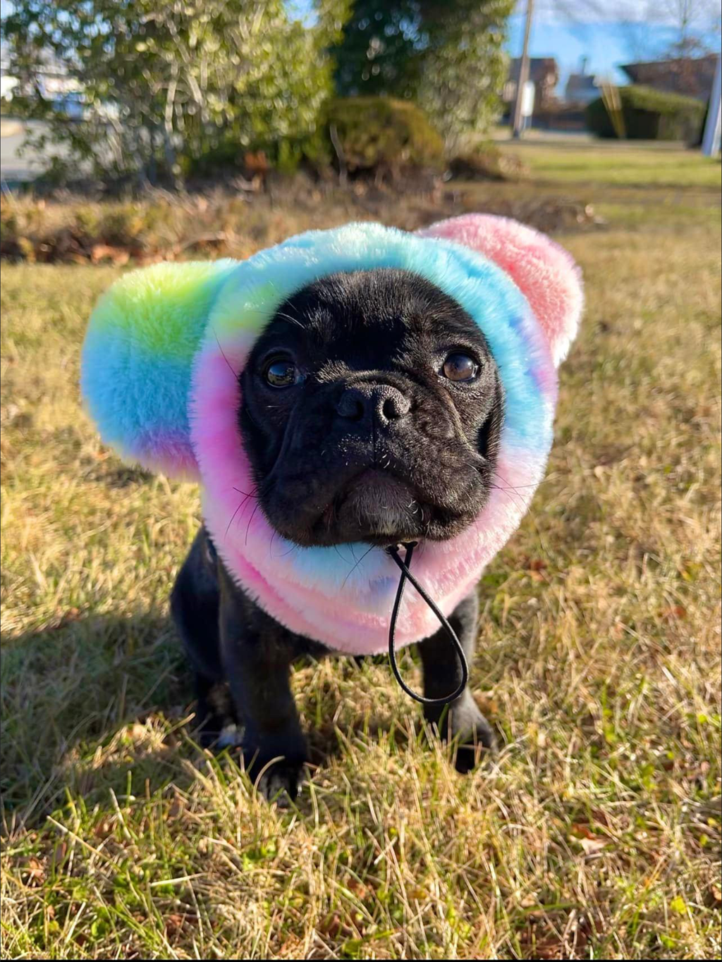 Dailypets Dog Ear Warmers Rainbow Fleece-Style Hat
