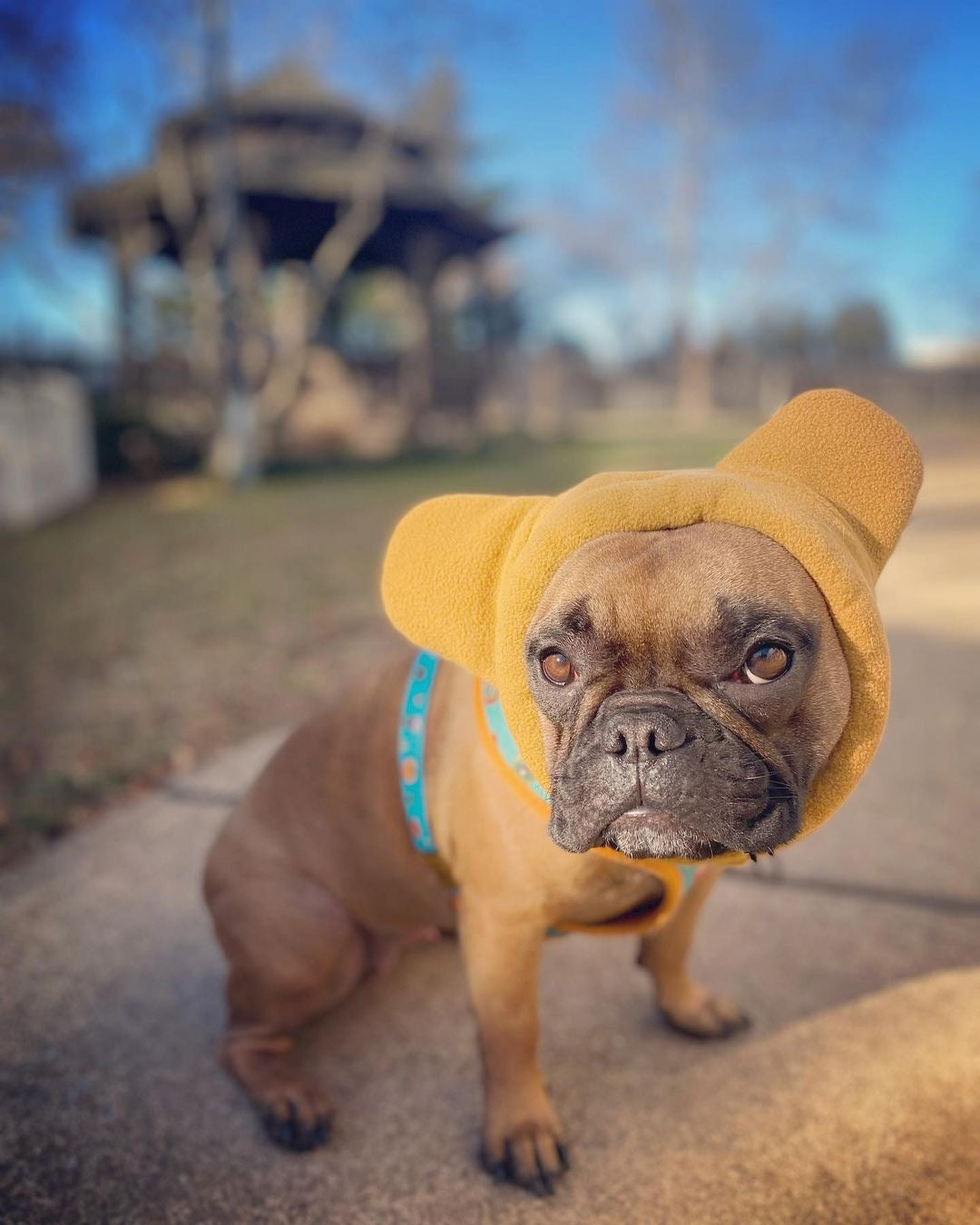 Dailypets Dog Ear Warmers Wind Cover Fleece Hat for Dogs