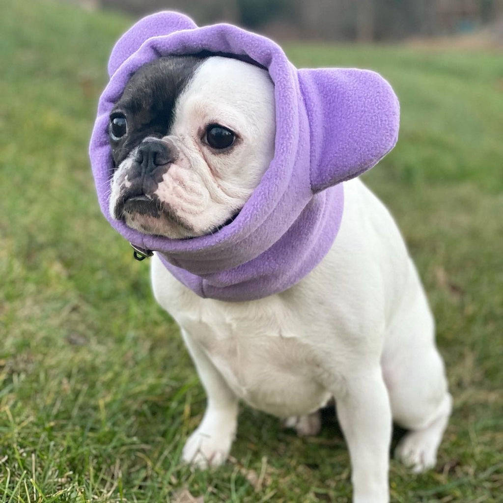 Dailypets Dog Ear Warmers Purple Soft Hood