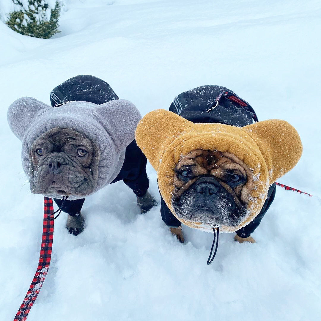 Dailypets Dog Ear Warmers Wind Cover Fleece Hat for Dogs