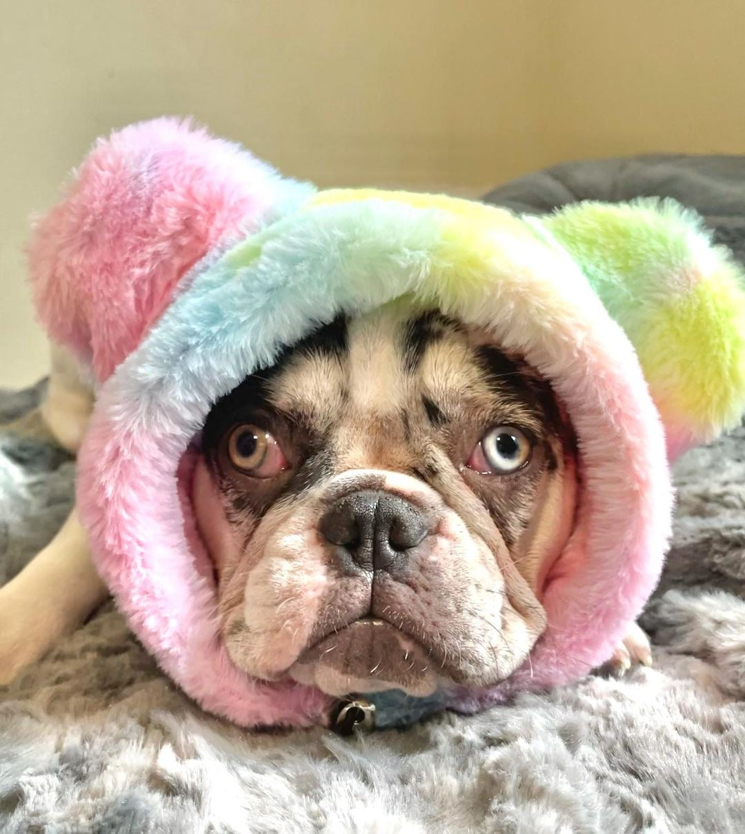 Dailypets Dog Ear Warmers Rainbow Fleece-Style Hat