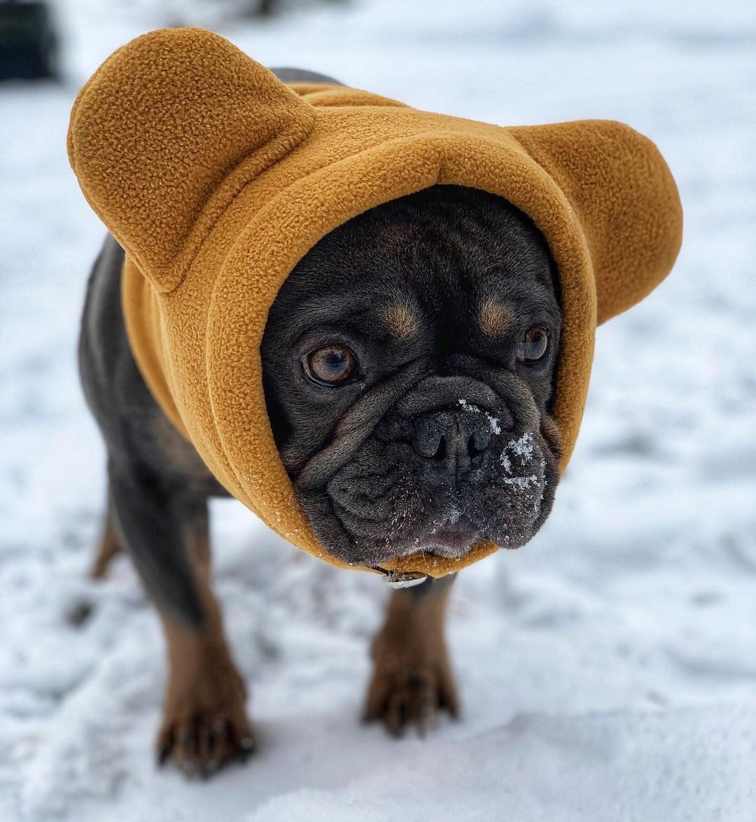 Dailypets Dog Ear Warmers Wind Cover Fleece Hat for Dogs