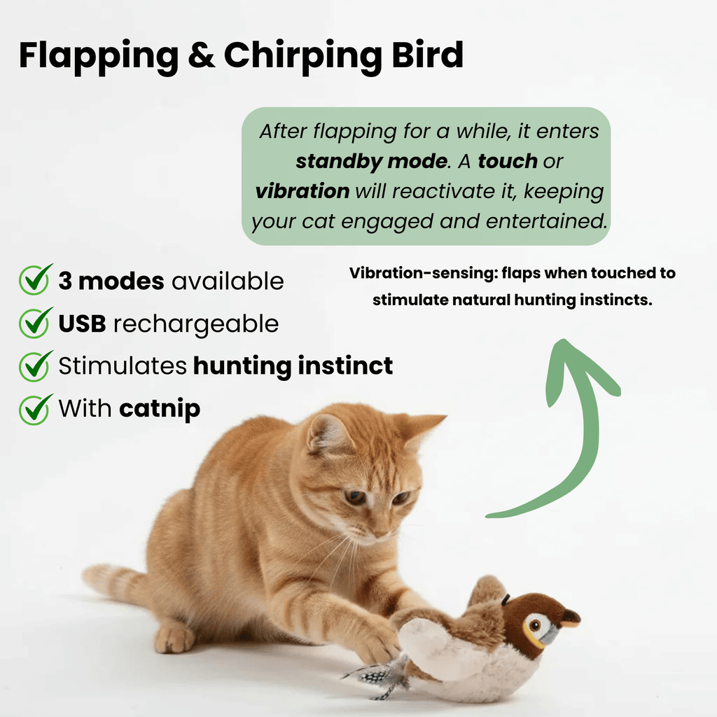 Dailypets Interactive Bird Toy for Cats with Flapping Wings, Sound & Motion Play