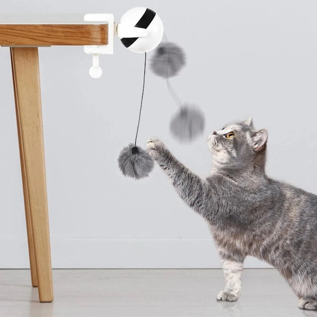 Dailypets Interactive Electronic Cat Teaser with Automatic Lifting Ball & Motion Play