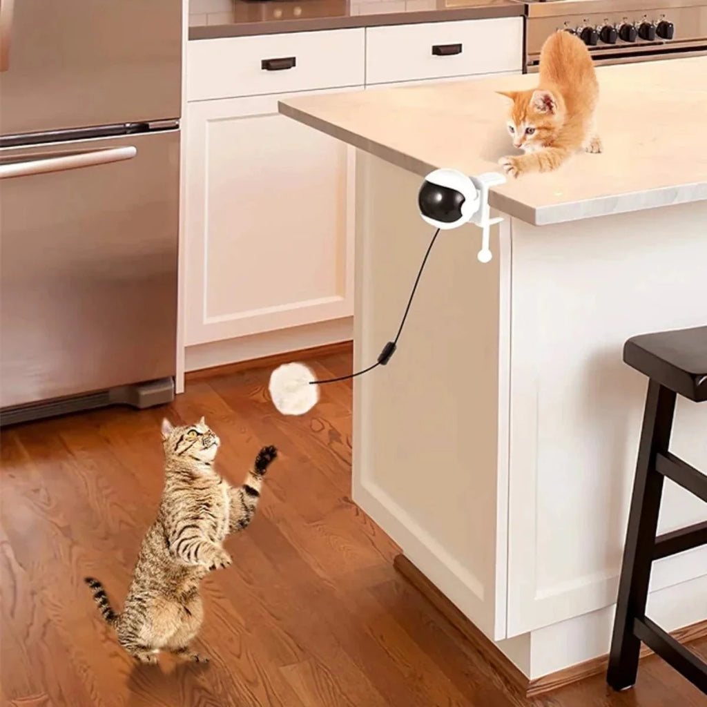 Dailypets Interactive Electronic Cat Teaser with Automatic Lifting Ball & Motion Play