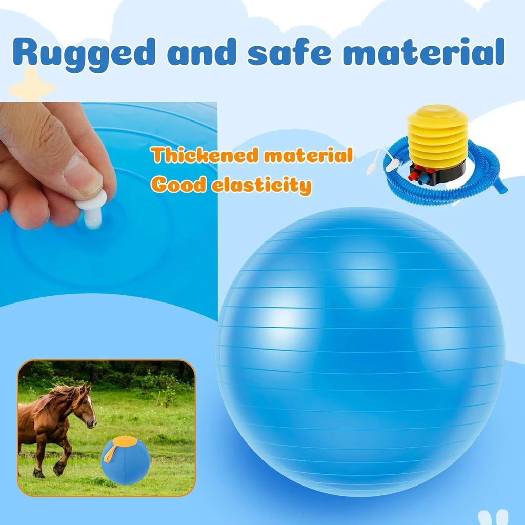Dailypets Interactive Herding Ball for Dogs with Durable Cover & Pump