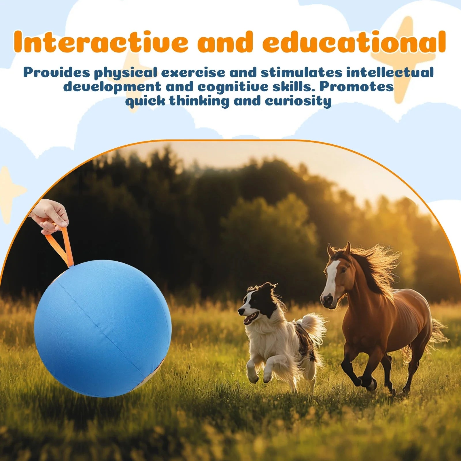 Dailypets Interactive Herding Ball for Dogs with Durable Cover & Pump