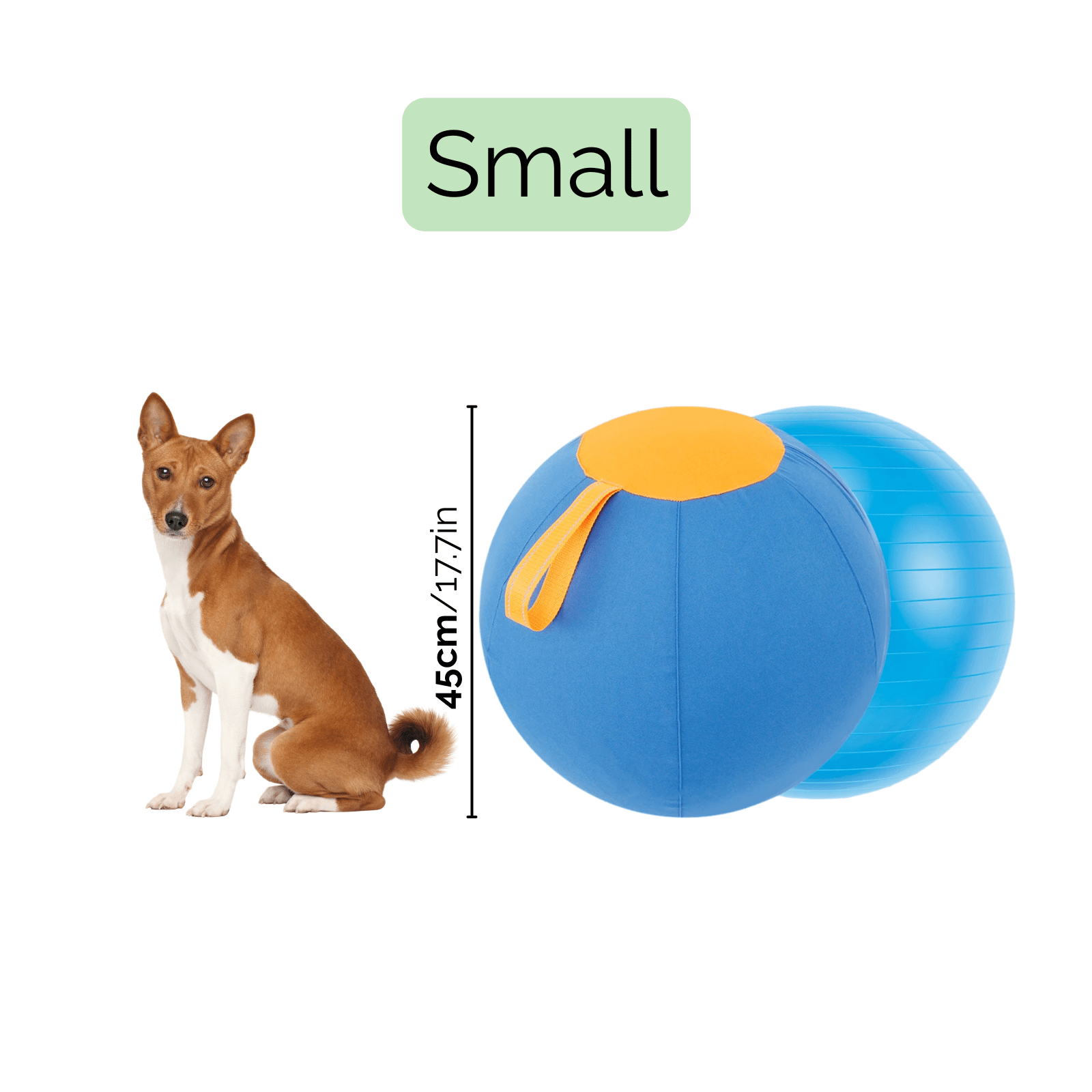 Dailypets Interactive Herding Ball for Dogs with Durable Cover & Pump
