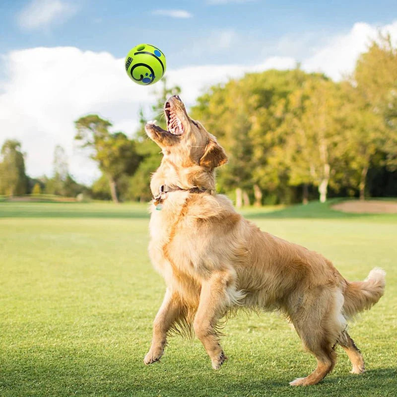 Dailypets Interactive Sound Ball for Dogs – Battery-Free Rolling Dog Toy