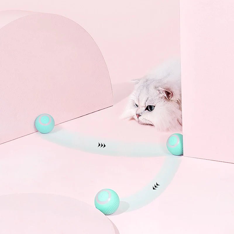 Dailypets Interactive Motion Cat Ball – Smart Rolling Toy with Animal Sound Effects