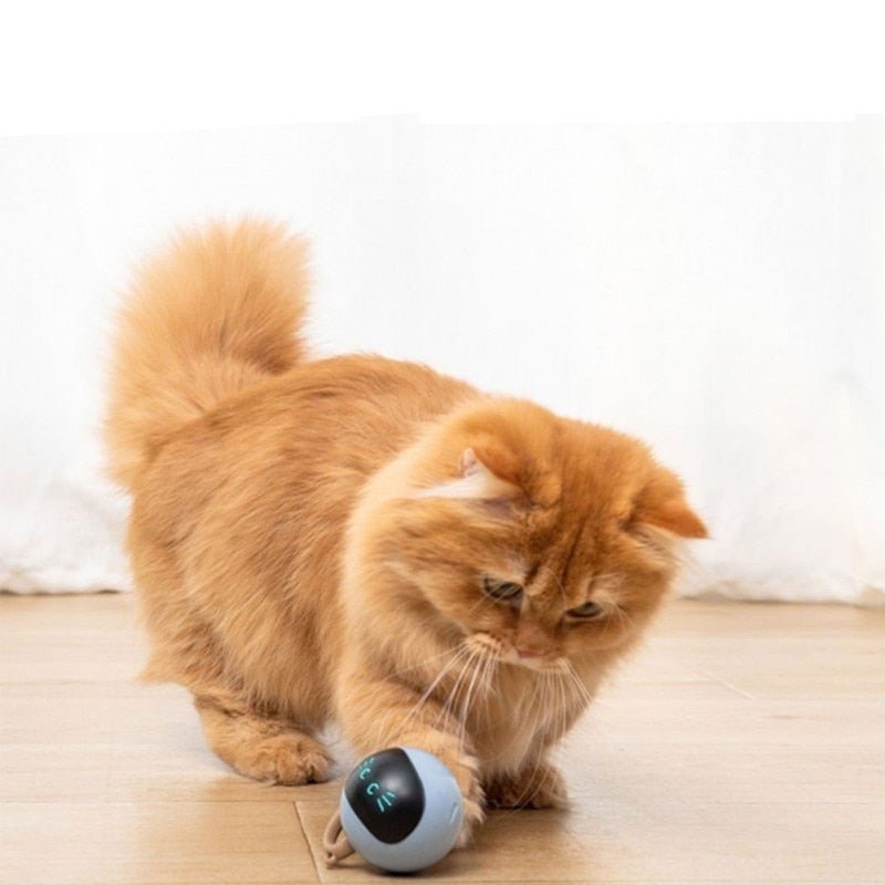 Dailypets Interactive Smart Cat Toy – USB Rechargeable Automatic Rolling Robot with LED