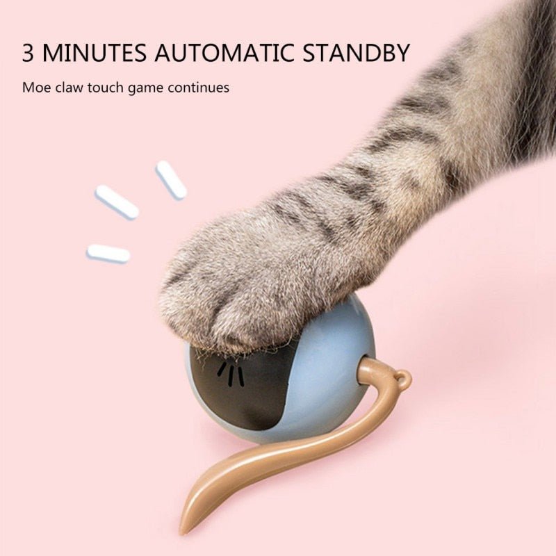 Dailypets Interactive Smart Cat Toy – USB Rechargeable Automatic Rolling Robot with LED