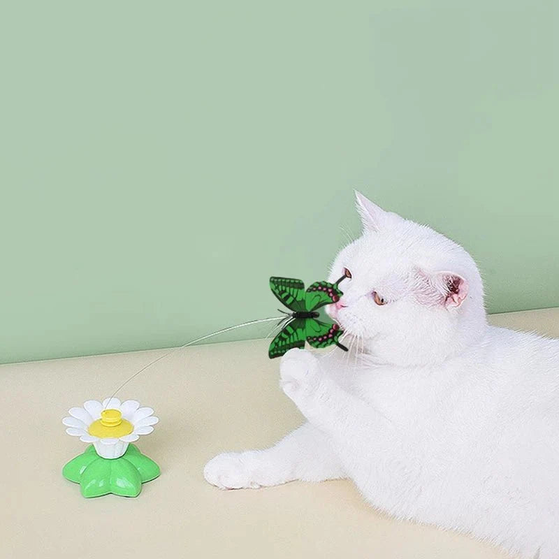 Dailypets Interactive Cat Flying Toy, ABS Butterfly Bird Chase Teaser