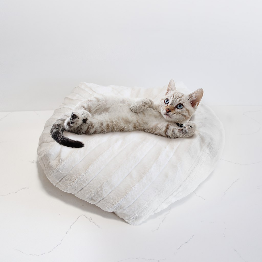 Dailypets Ultra Soft Cat Bed – Round Plush Nest Cushion