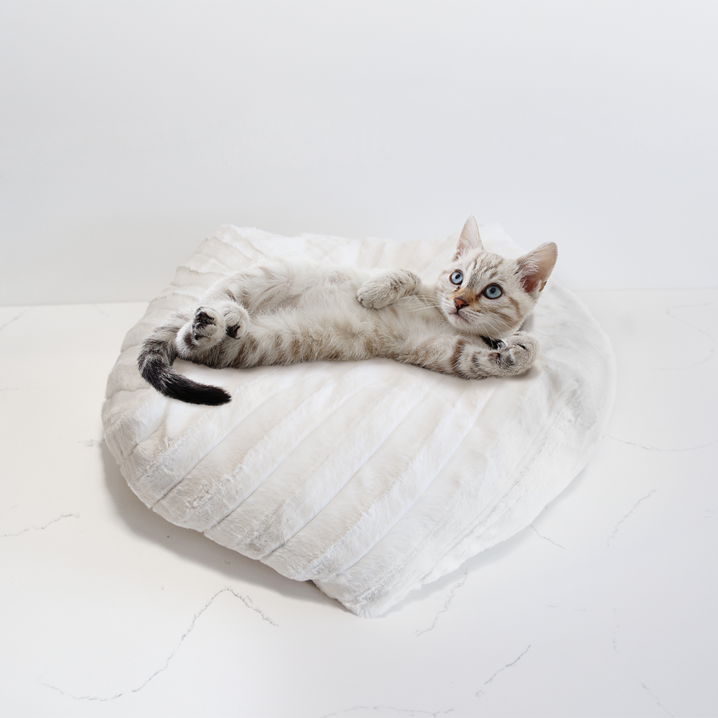 Dailypets Ultra Soft Cat Bed – Round Plush Nest Cushion