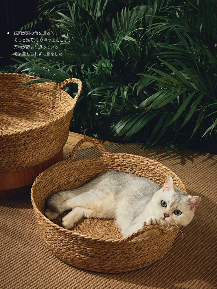 Dailypets Round Woven Cat Bed, Removable Cushion for Daily Cat Comfort