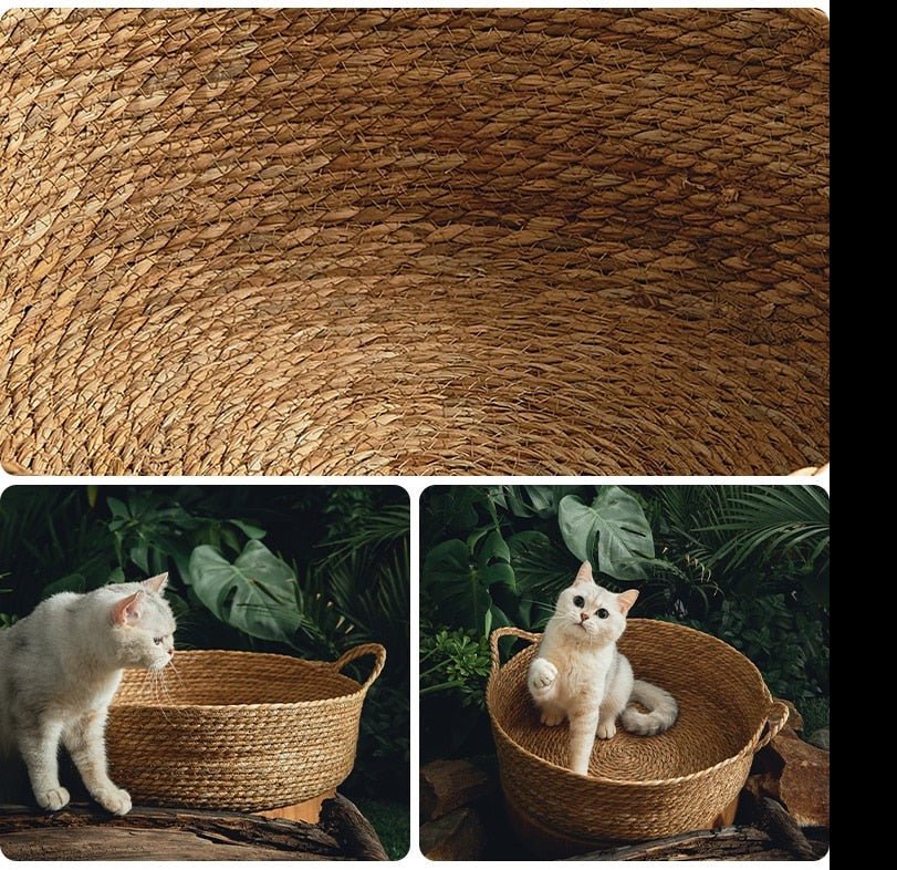 Dailypets Round Woven Cat Bed, Removable Cushion for Daily Cat Comfort