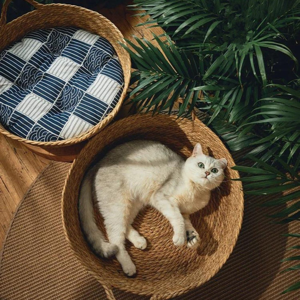 Dailypets Round Woven Cat Bed, Removable Cushion for Daily Cat Comfort