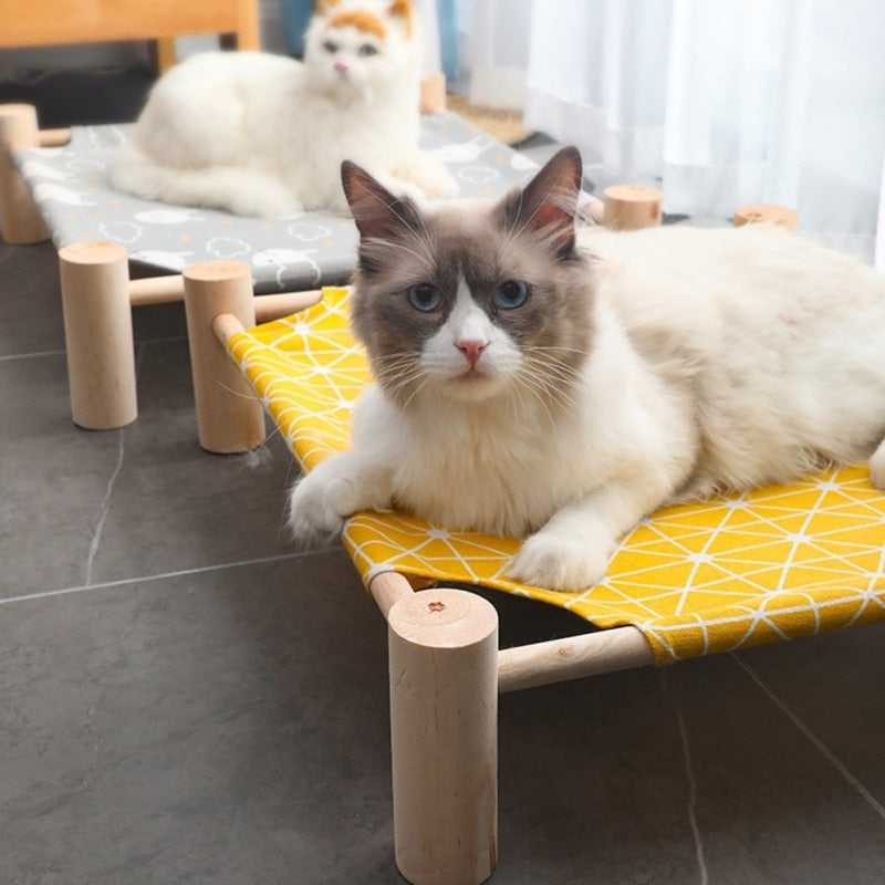 Dailypets Modern Raised Cat Bed – Japanese Style Canvas Pet Cot with Solid Wood Stand