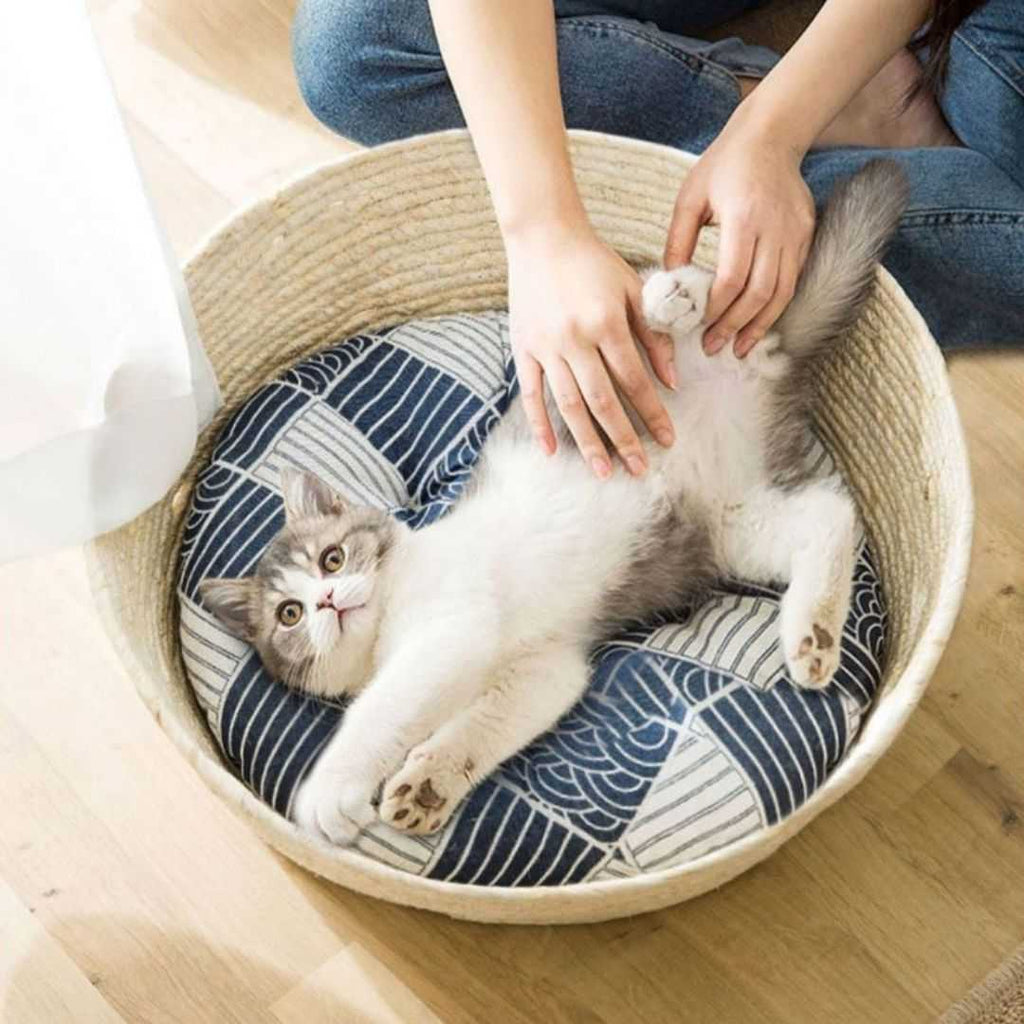 Dailypets Woven Sisal Cat Bed – Japanese Style Basket Lounger