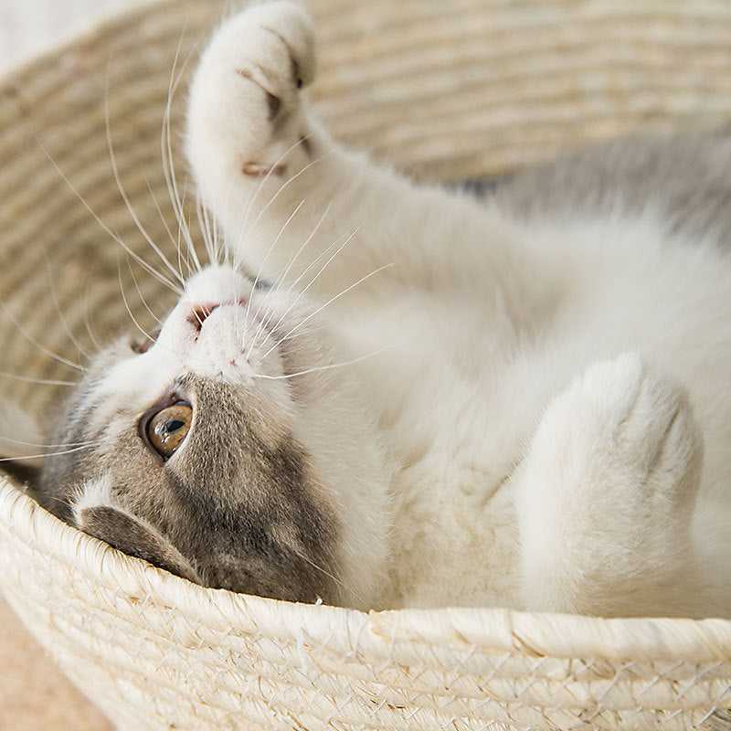 Dailypets Hand-Woven Cat Bed, Natural Sisal Basket for Indoor Cats