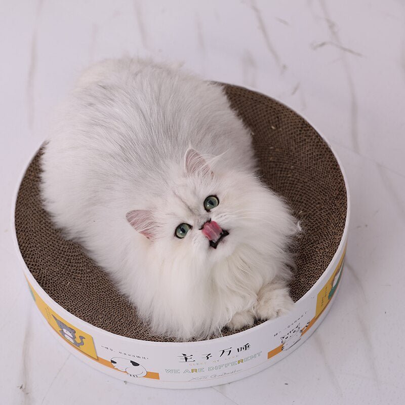 Dailypets Round Cardboard Cat Scratcher Bed