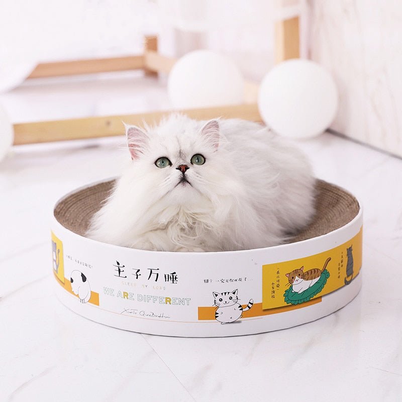 Dailypets Round Cardboard Cat Scratcher Bed