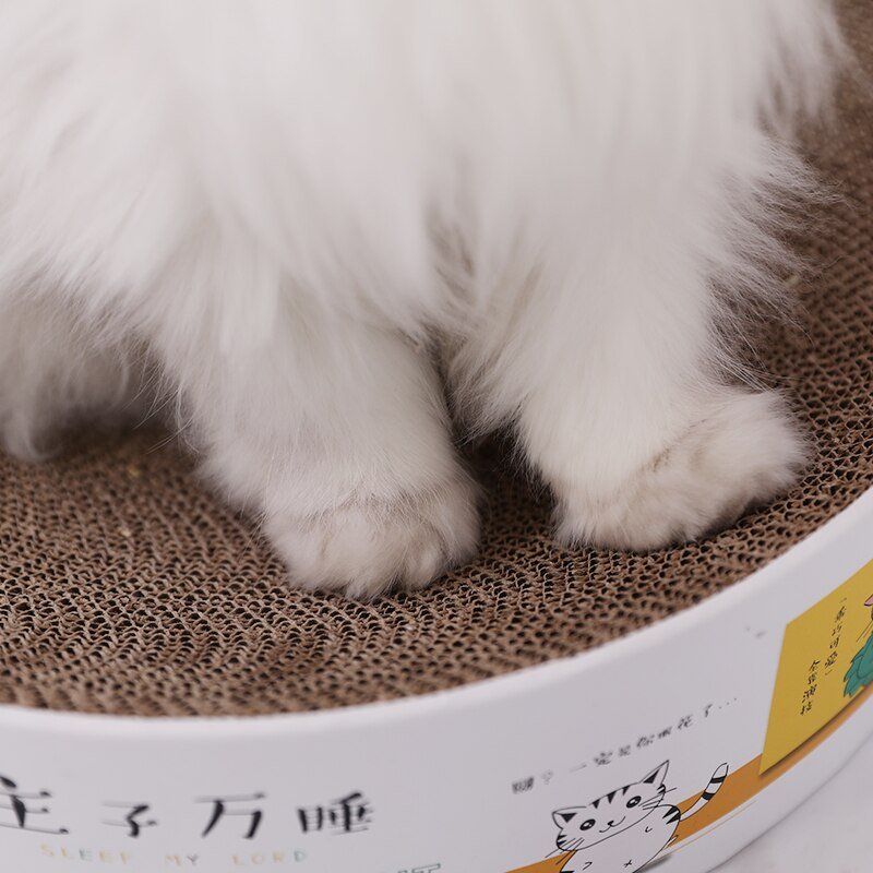 Dailypets Round Cardboard Cat Scratcher Bed