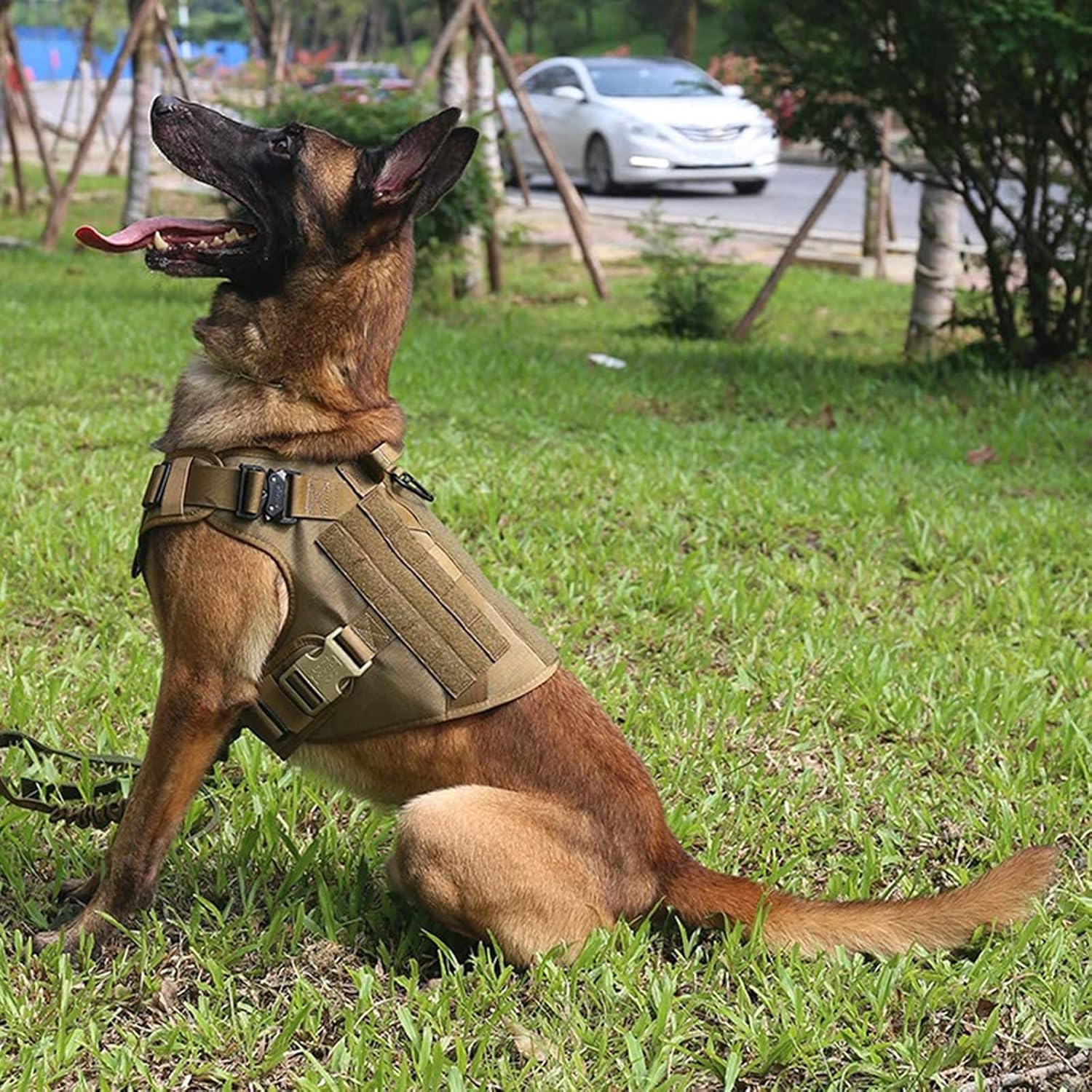 Dailypets Tactical Dog Harness with MOLLE System for Training and Outdoor Adventures