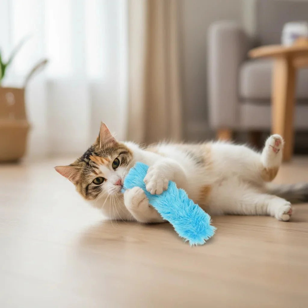 Dailypets Catnip Plush Toy Set for Cats with Soft Interactive Play & 4 Fun Designs