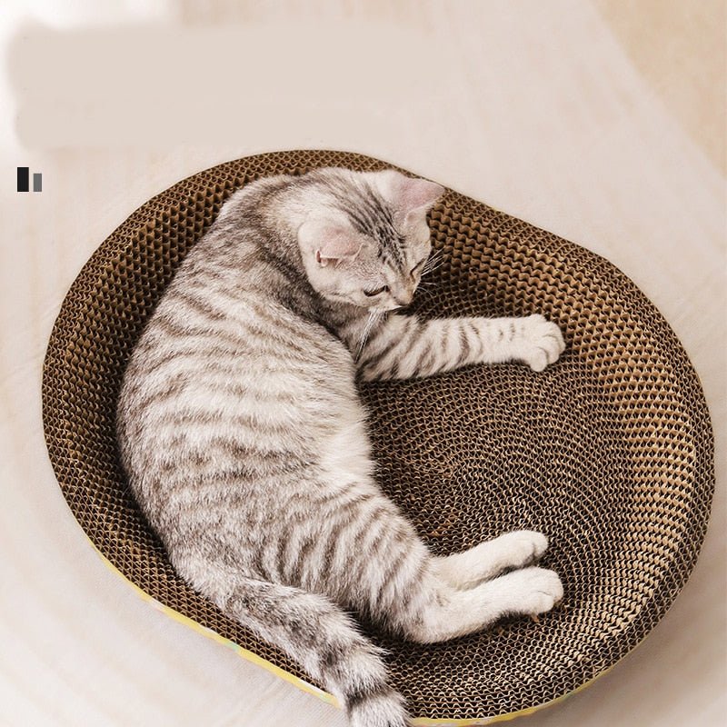 Dailypets Cat Scratcher Lounger, Cartoon Cardboard Bed for Indoor Cats