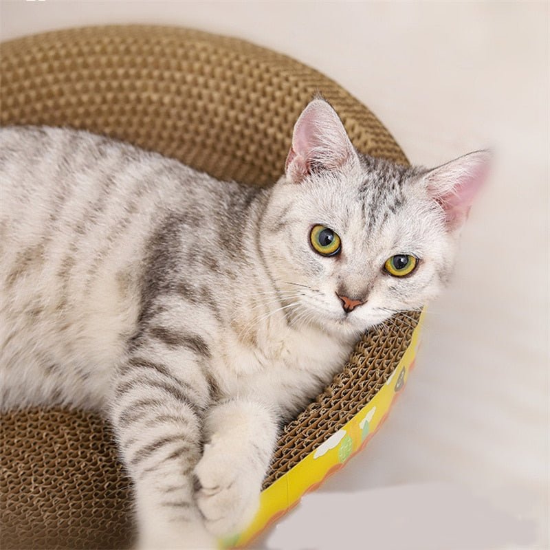 Dailypets Cat Scratch Nest – Cozy Cardboard Play & Rest Spot