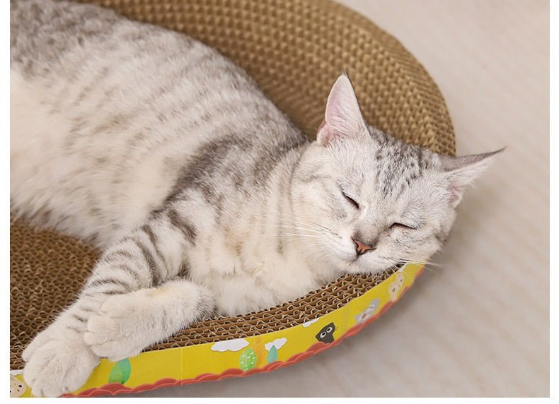 Dailypets Cat Scratch Nest – Cozy Cardboard Play & Rest Spot