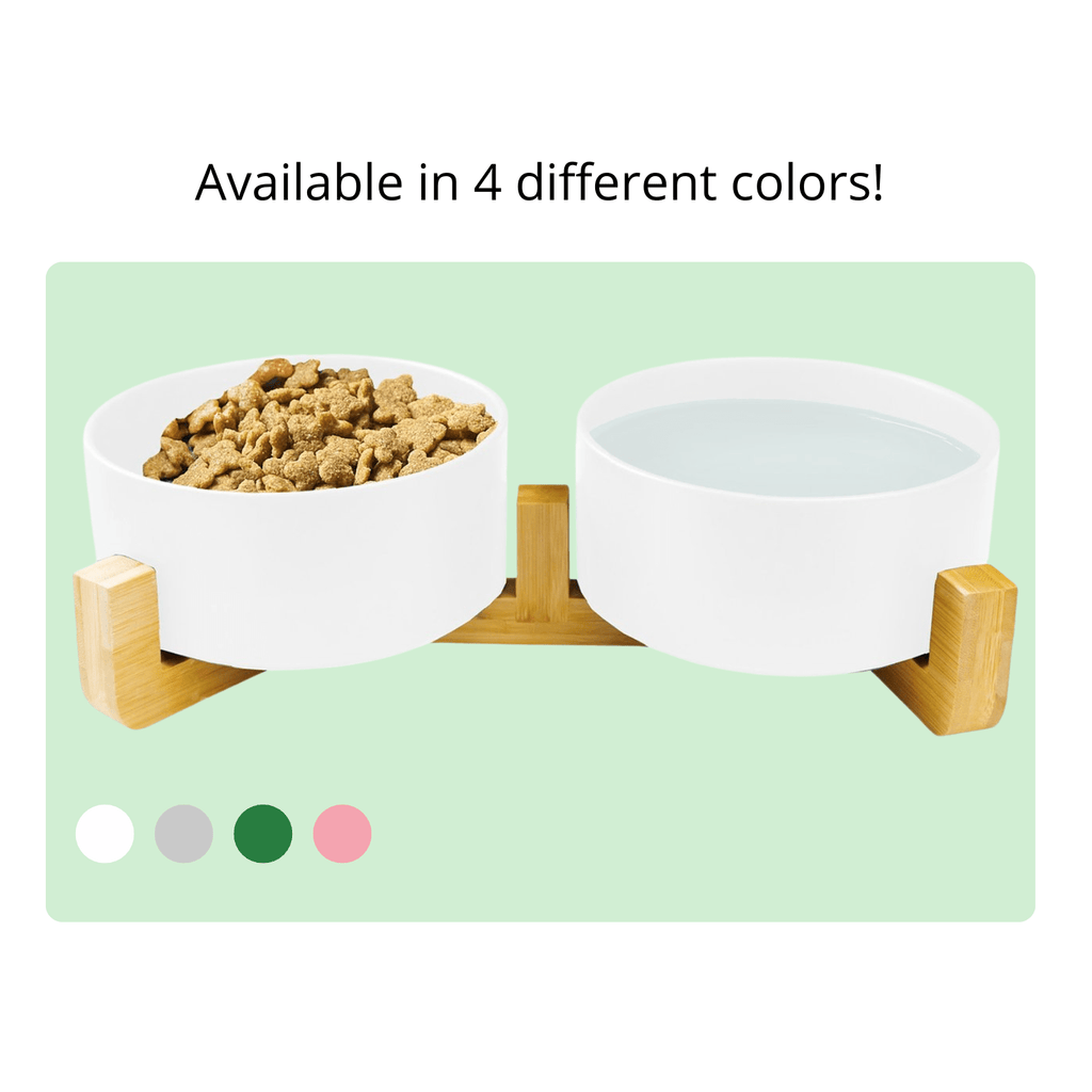 Dailypets Elevated Ceramic Pet Bowl Set of 2 with Stable Base for Food and Water Daily