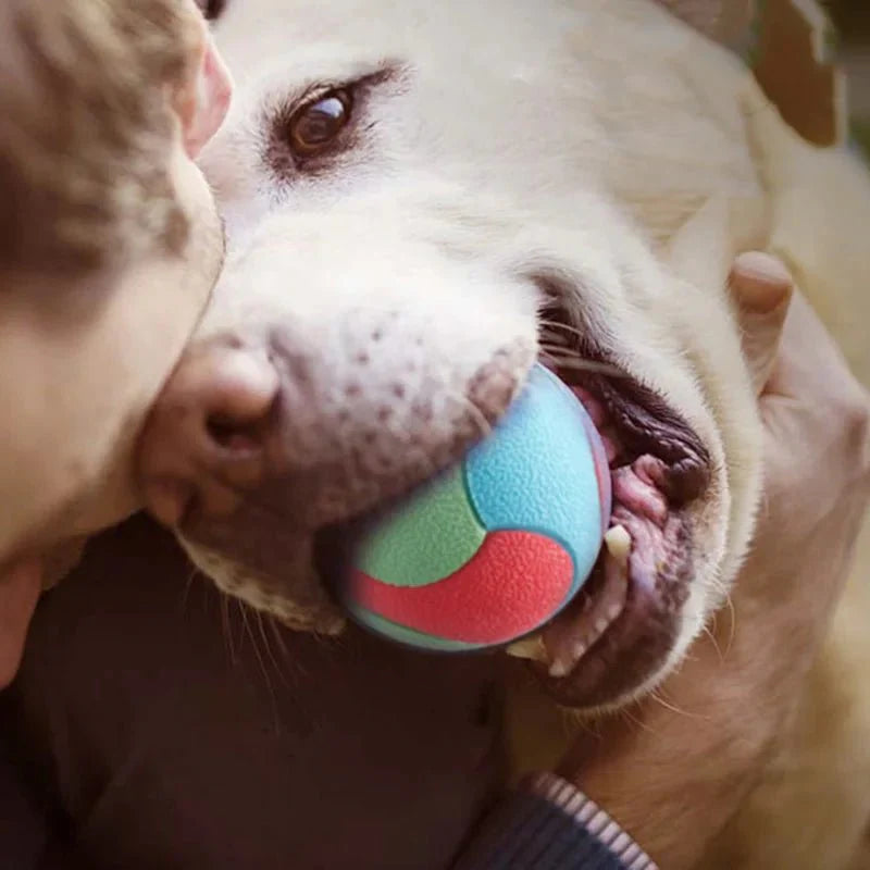 Dailypets Durable Rubber Chew Ball for Dogs with Dental Cleaning Texture