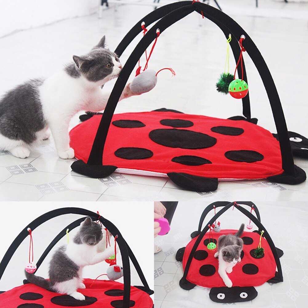 Dailypets Ladybug Cat Bed Mat with Arch Toy Frame