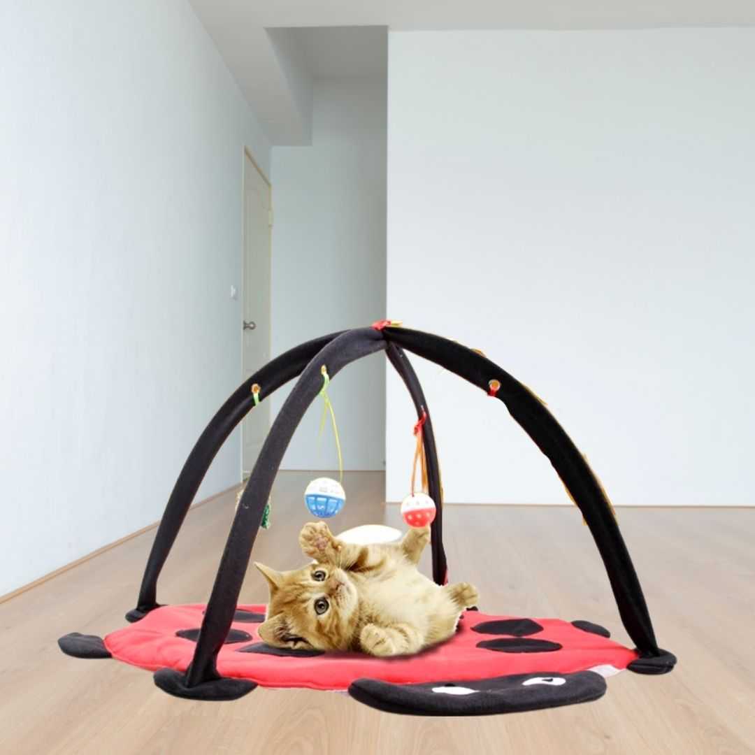 Dailypets Ladybug Cat Bed Mat with Arch Toy Frame
