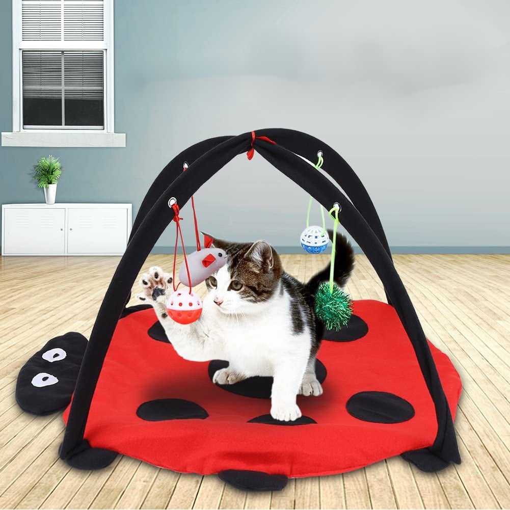 Dailypets Ladybug Cat Bed Mat with Arch Toy Frame