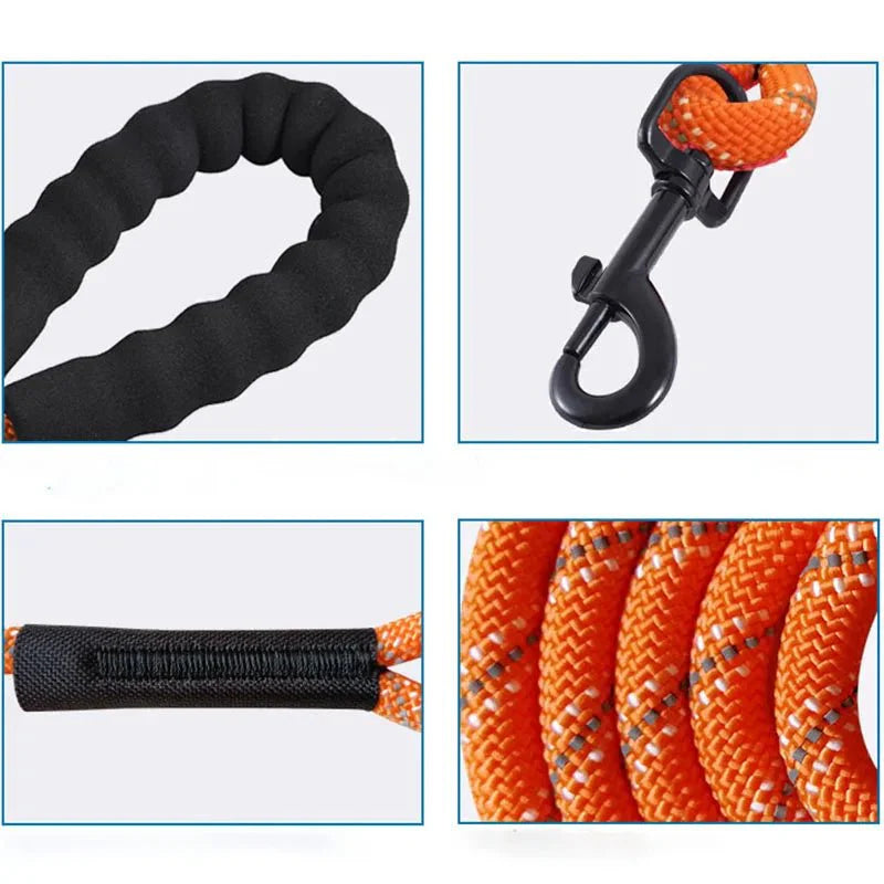 Dailypets Reflective Dog Training Line for Recall Practice & Outdoor Adventures