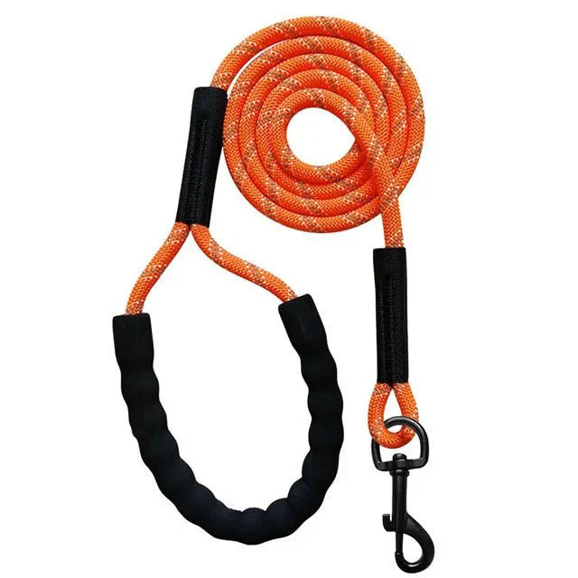 Dailypets Reflective Dog Training Line for Recall Practice & Outdoor Adventures