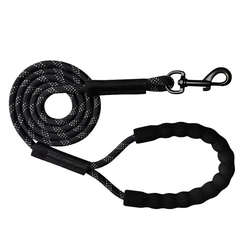Dailypets Reflective Dog Training Line for Recall Practice & Outdoor Adventures