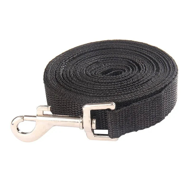 Dailypets Long Dog Training Leash for Recall Practice & Outdoor Freedom up to 50 m