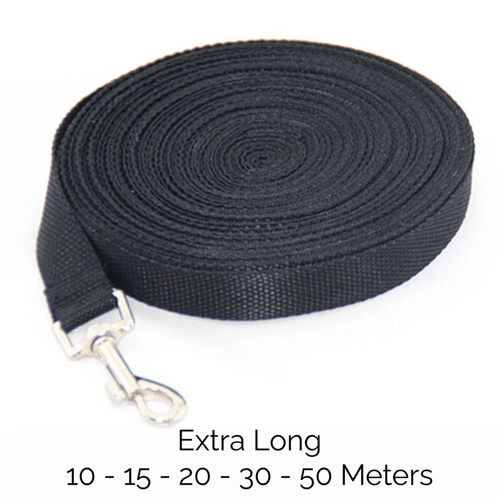 Dailypets Long Dog Training Leash for Recall Practice & Outdoor Freedom up to 50 m