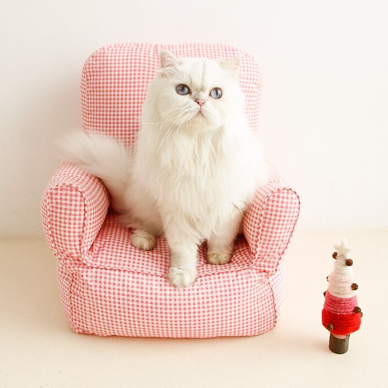 Dailypets Boss Cat Couch – Soft Elevated Sofa Bed