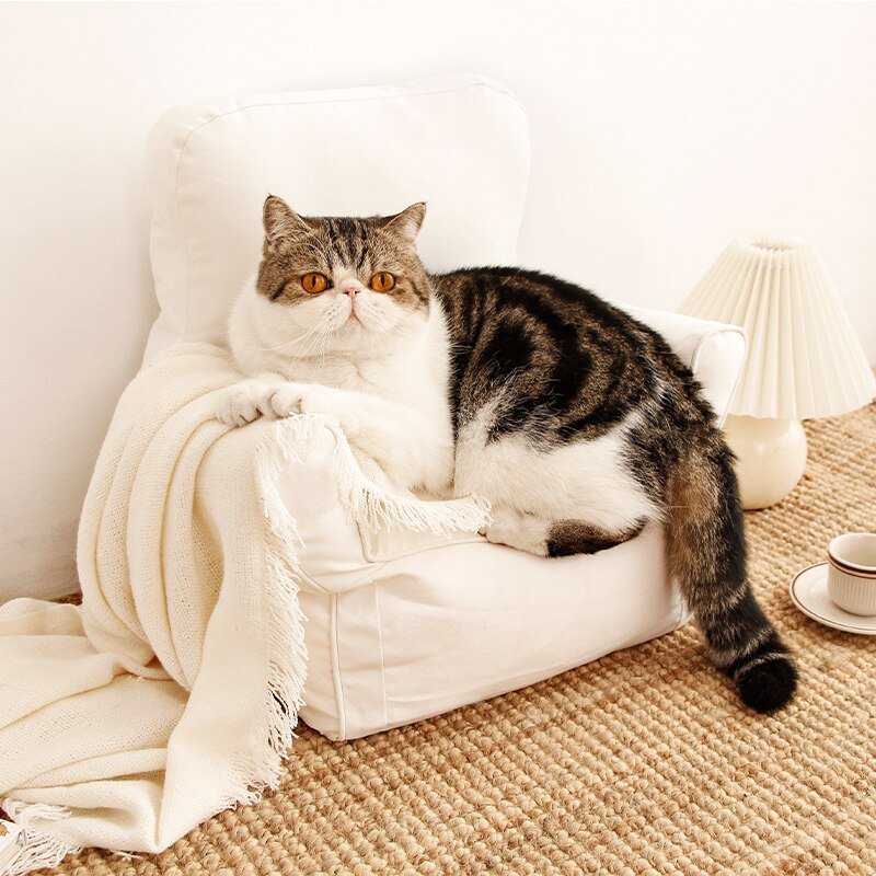 Dailypets Boss Cat Couch – Soft Elevated Sofa Bed