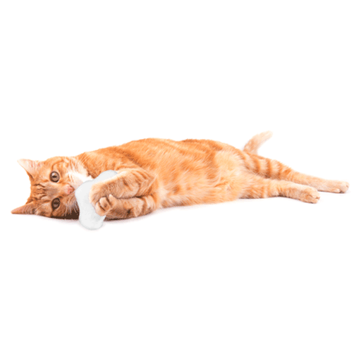 Dailypets Cloud Puff Silvervine Bundle for Cats