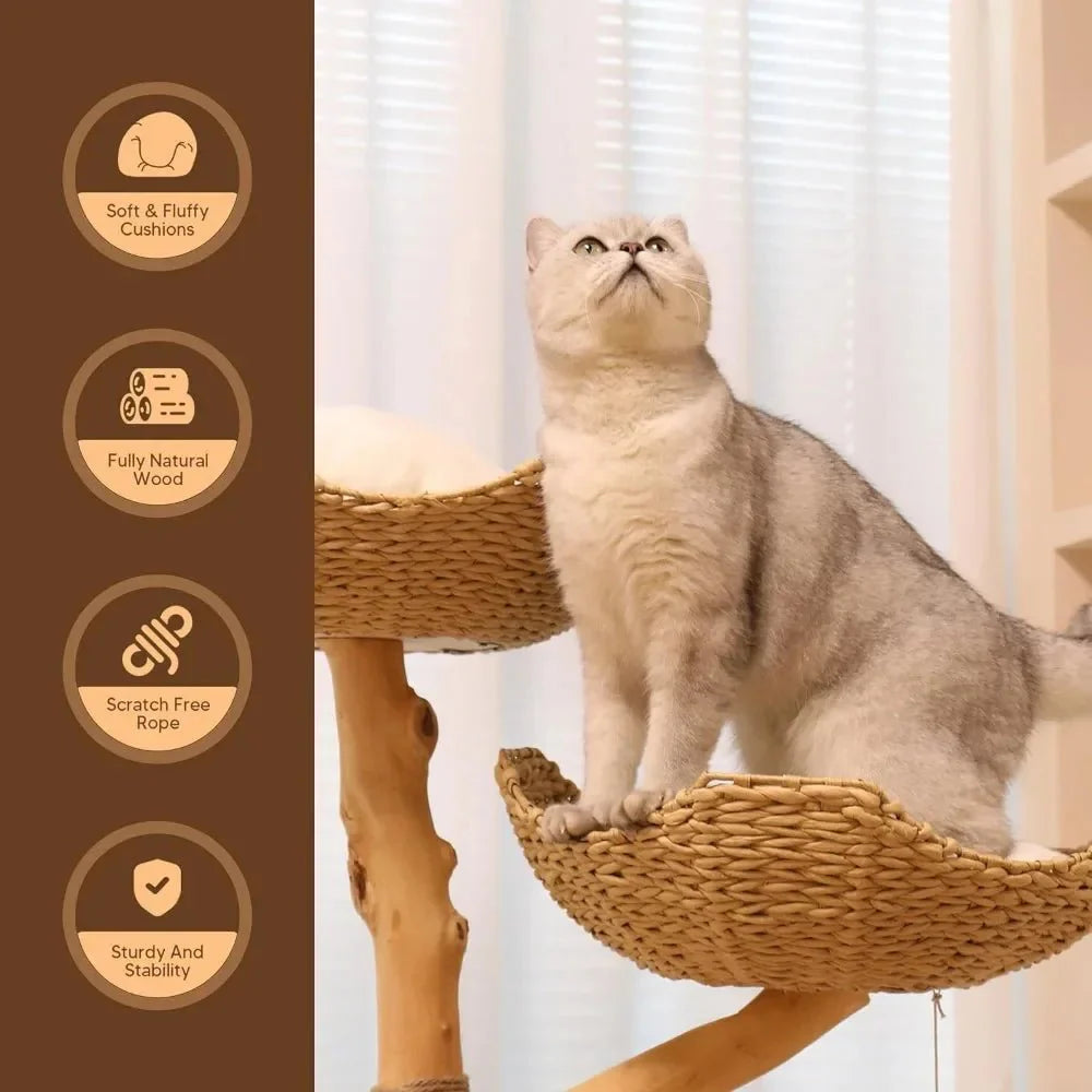 Dailypets Luxury Bohemian Cat Tree – Natural Wood Cat Furniture with Woven Basket Beds