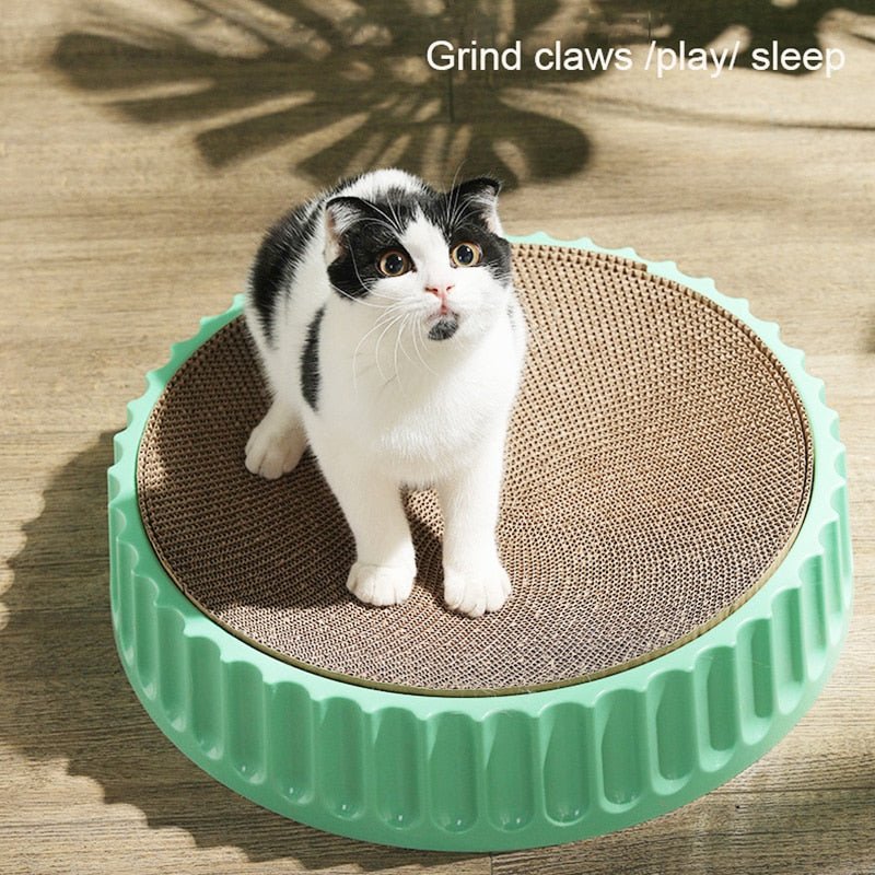 Dailypets Round Cat Scratch Bowl with Replaceable Core
