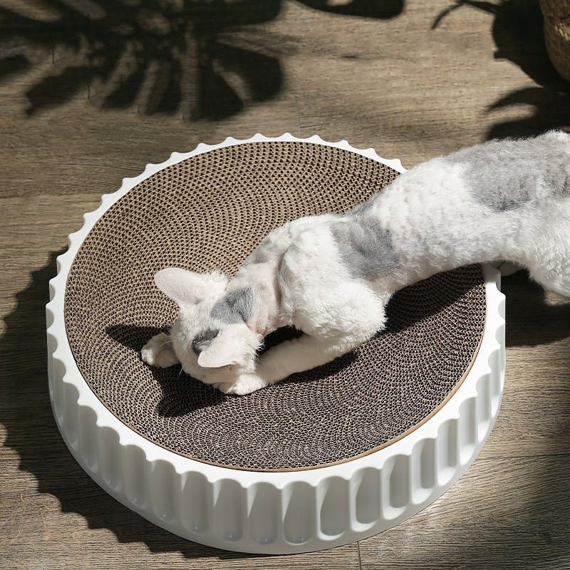 Dailypets Round Cat Scratch Bowl with Replaceable Core